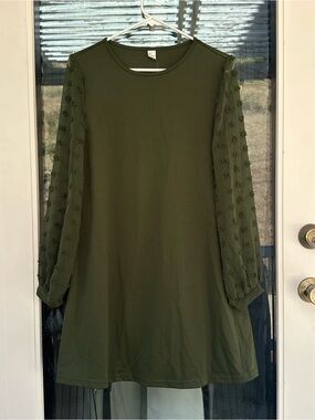 Olive Green Swiss Dot Mesh Mini Dress